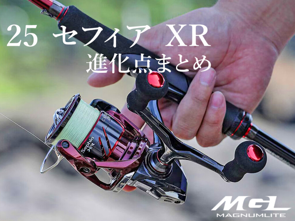 セフィアXRフルセット！ 極美品！エギ王付き！ （2025年最新