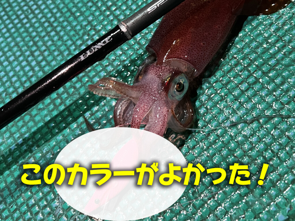 このカラーがこんなにアタるの⁉】イカメタルでめちゃくちゃ「イカ」に