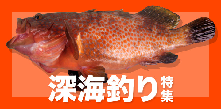 深海釣り特集2025