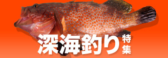 深海釣り特集2025