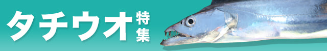 タチウオ特集