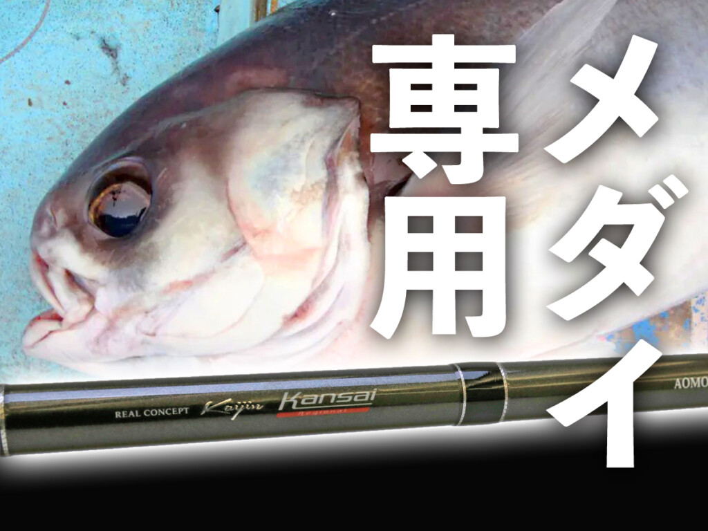 マニア向け】日本海の怪魚メダイを仕留める専用竿。アルファ