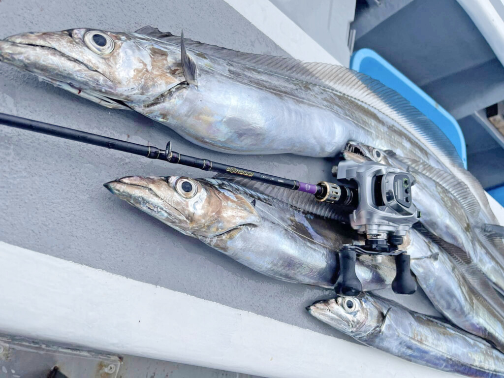 アルファタックルのタチウオロッドが伊勢湾でハマっている…という話