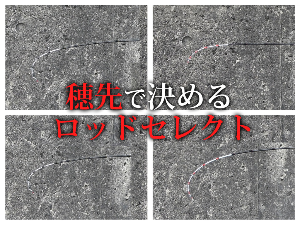 穂先で決める”ロッドセレクトで大阪湾タチウオを攻略【吉田昇平
