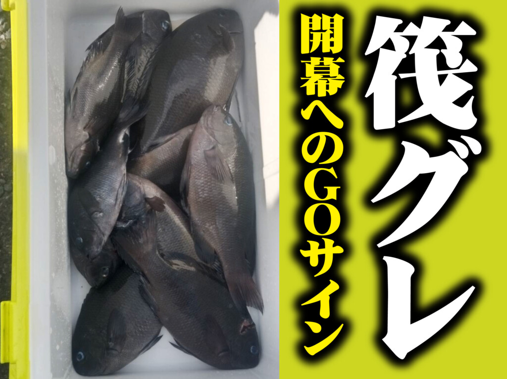 福井 の最新記事アイキャッチ