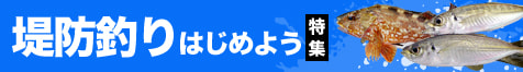 堤防釣りはじめよう特集