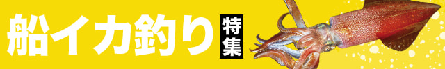 船イカ釣り特集