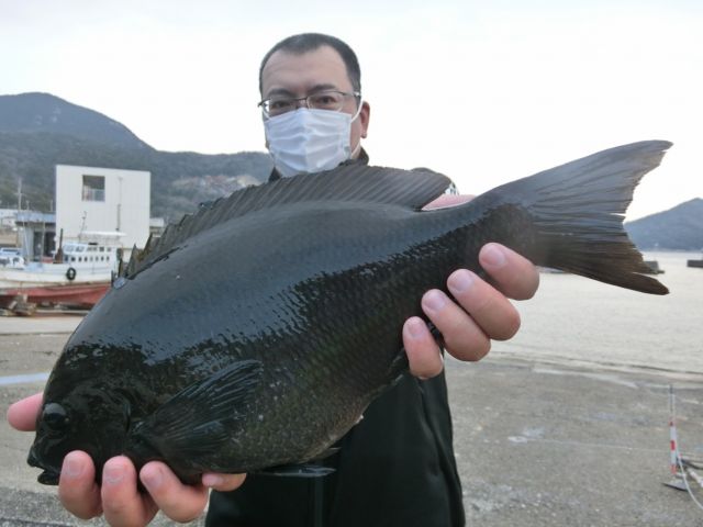 上野渡船 の公式サイト 和歌山 大引 磯渡し 釣り船 上野渡船 の公式サイト 和歌山 大引 磯渡し 釣り船