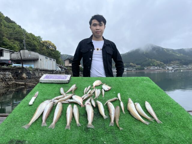 田村釣具　河豚 田村釣具 河豚