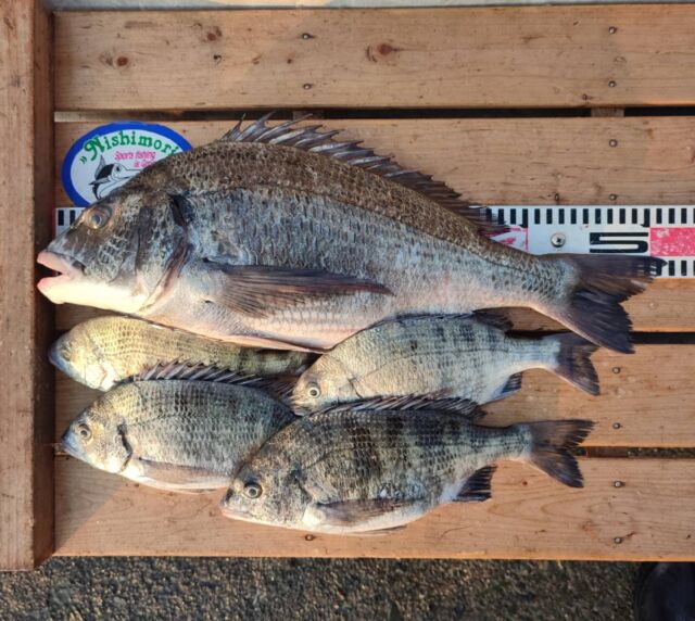 F15漁船ドックへ 額縁無し F15漁船ドックへ 額縁無し F15漁船ドックへ 額縁無し F15漁船ドックへ