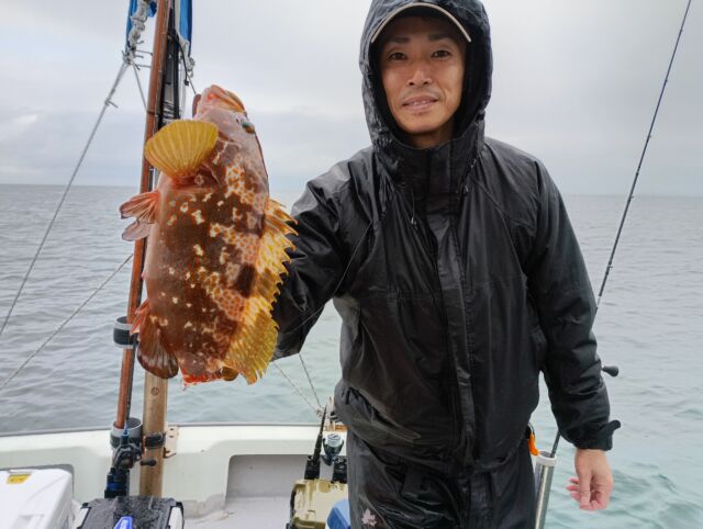恵比寿笑い　手乗り　まん丸　良型　選抜株 ひとつテンヤの午前便で出船！ | 釣果情報 | 恵比寿丸 - 大阪 淡輪 釣り船